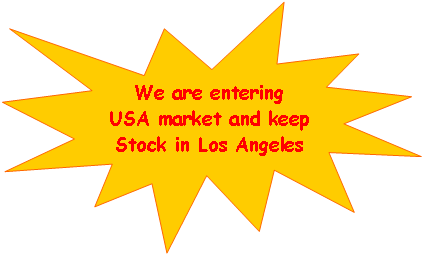 Explosion 1: We are enteringUSA market and keepStock in Los Angeles